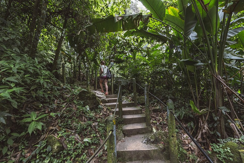 woman waking into the jungle