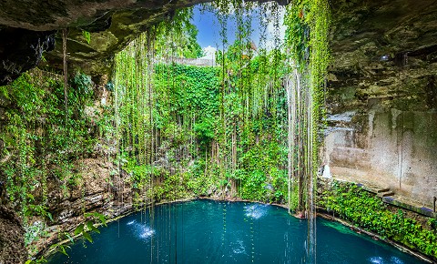 Adentrate en las Profundidades: Aventura en los Cenotes y la Selva de Cancún