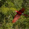 Eco-Friendly Exploration in Mexico: Embrace Sustainable Travel Resorts