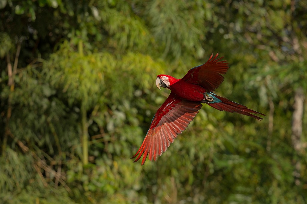 Eco-Friendly Exploration in Mexico: Embrace Sustainable Travel Resorts