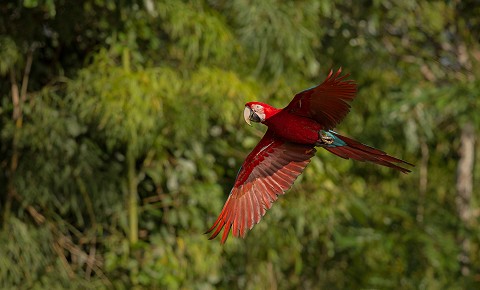 Eco-Friendly Exploration in Mexico: Embrace Sustainable Travel Resorts