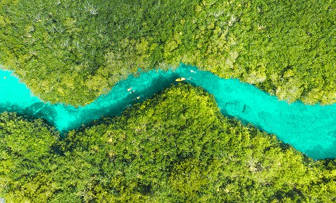 Las Aventuras Imprescindibles en Cabo, Puerto Vallarta y Cancún