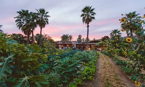 A Different Side of Cabo: Flora Farms