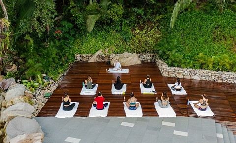 Yoga en TierraLuna Gardens