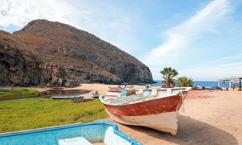 Go Hiking in Punta Lobos