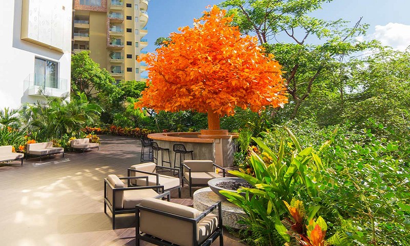 Hotel Mousai and Garza Blanca Puerto Vallarta