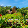 Spread awareness: TierraLuna Gardens is celebrating Earth Day