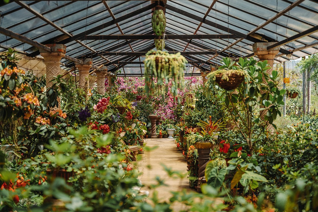 La belleza de los jardines botánicos de Puerto Vallarta