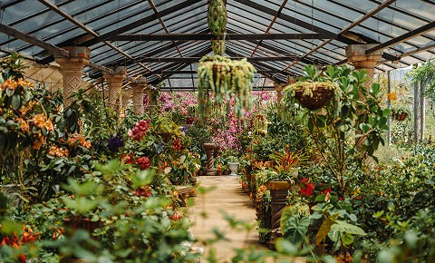 La belleza de los jardines botánicos de Puerto Vallarta