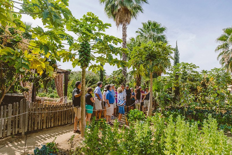 P4 tour flora P4 tour flora