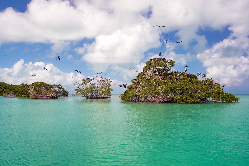 Sian ka’an biosphere reserve