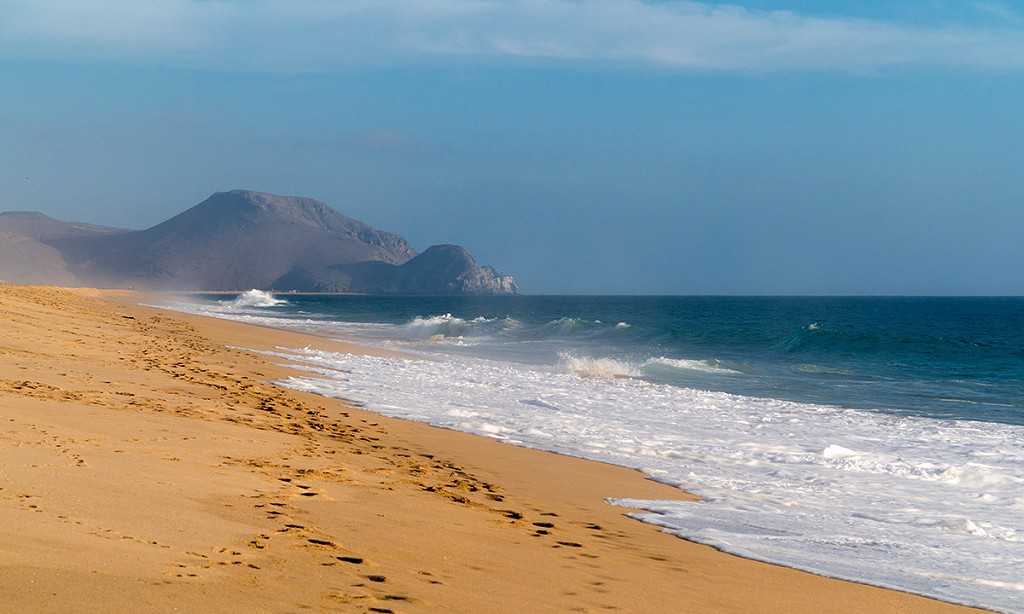 Todos Santos: La Perfecta Excursión de Un Día