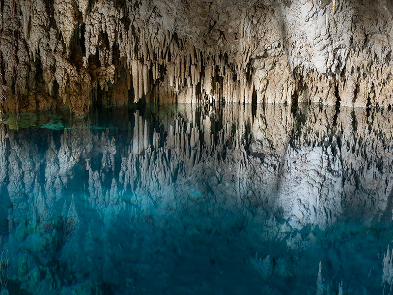 Visit the kantemó caves hanging snakes