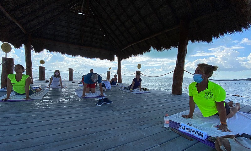 Wellness Bonnie Wellness Bonnie