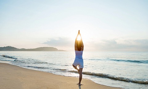 Yoga at TierraLuna Gardens