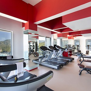 gym-hotel-mousai