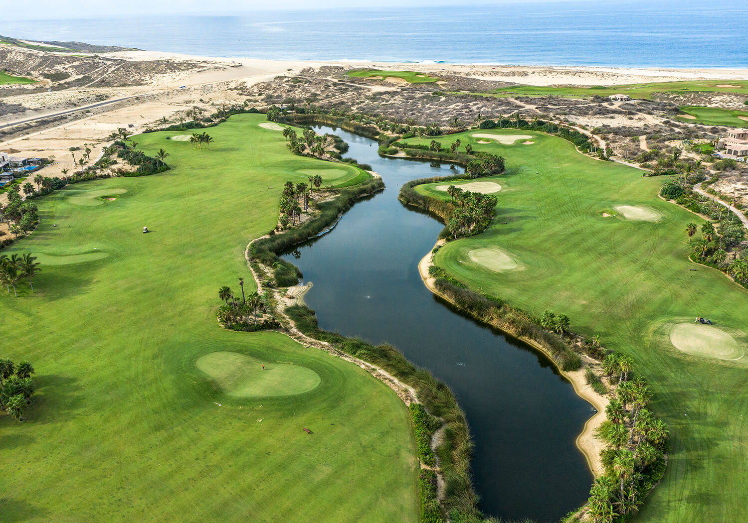 The Oasis Short Course