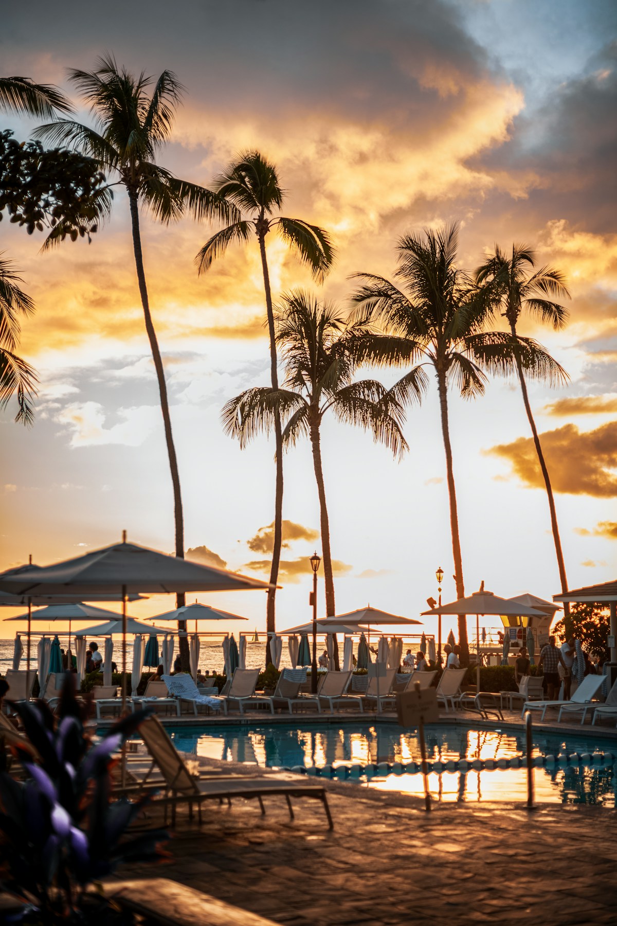 Oceanfront resort pool at sunset